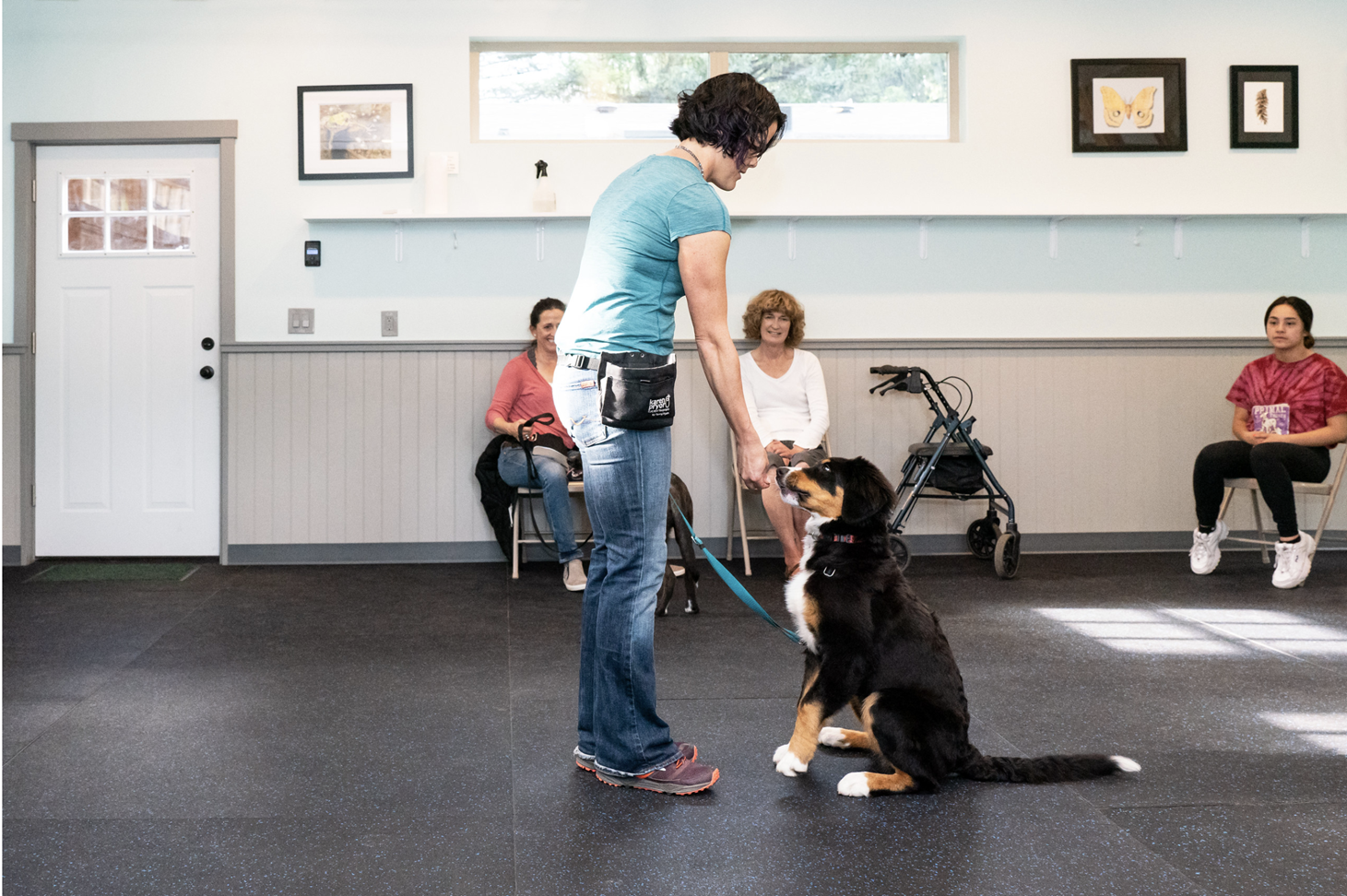 The Art of Communication How Dog Trainers Connect with Canines